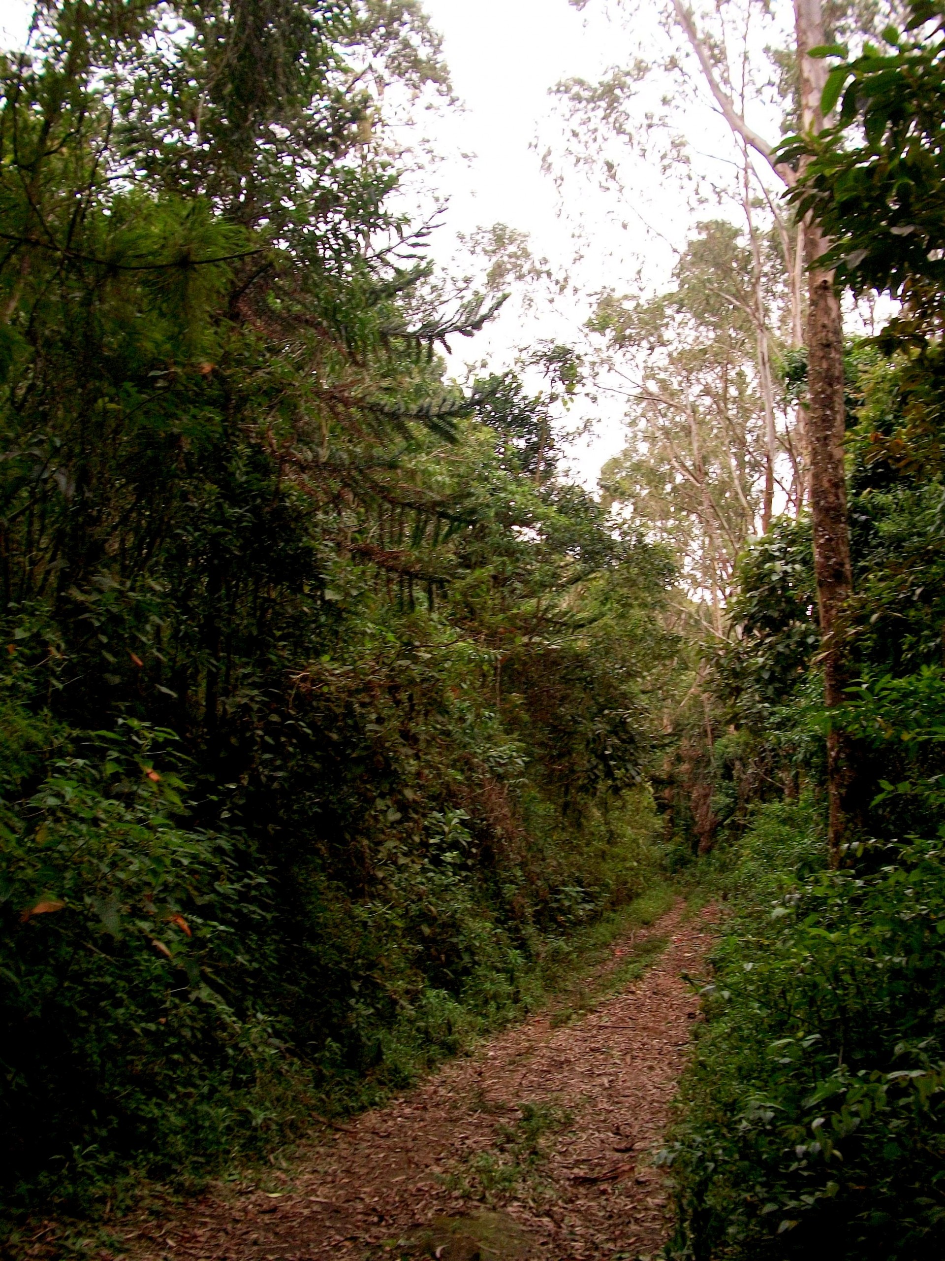 Serra do Mané Joaquim