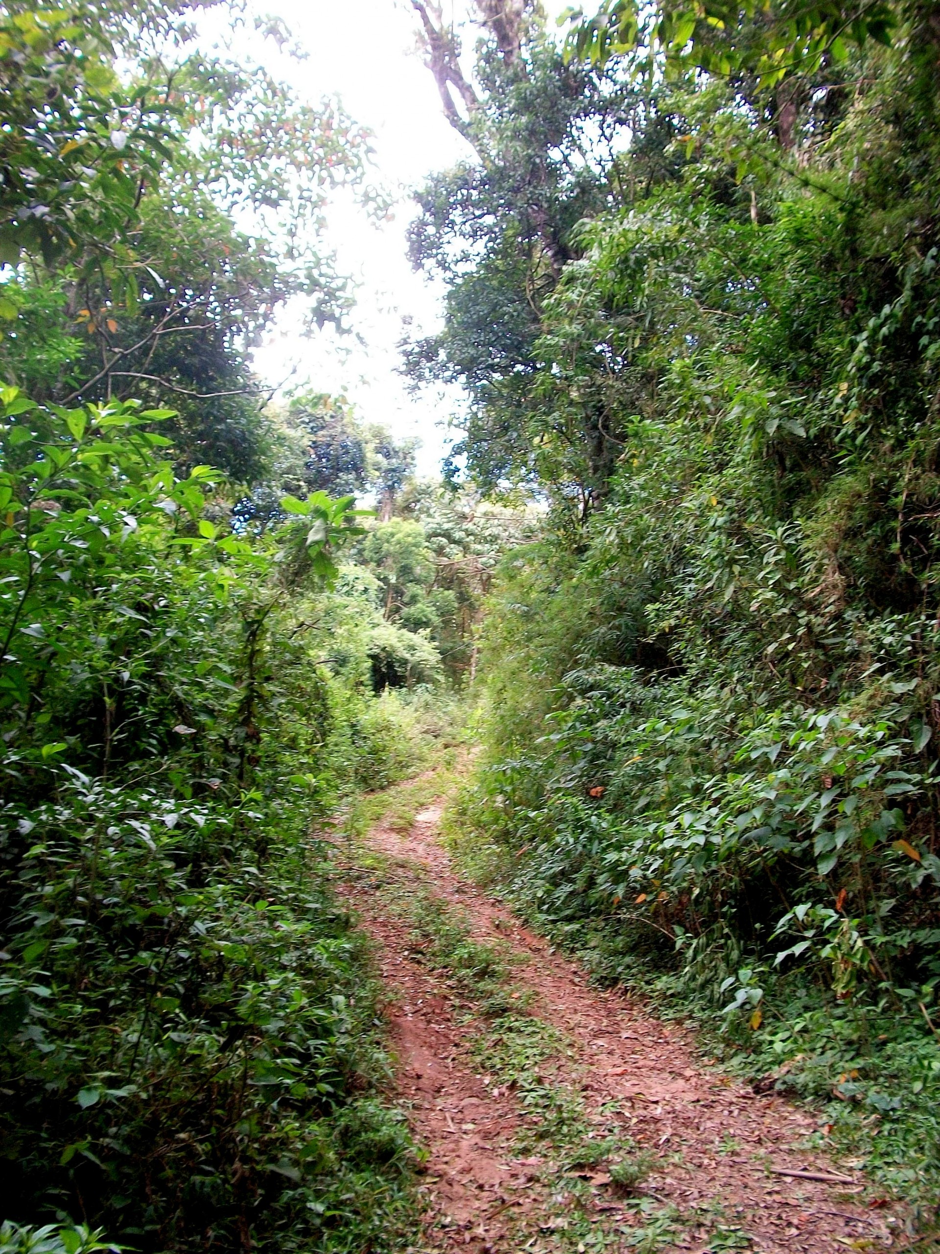 Serra do Mané Joaquim