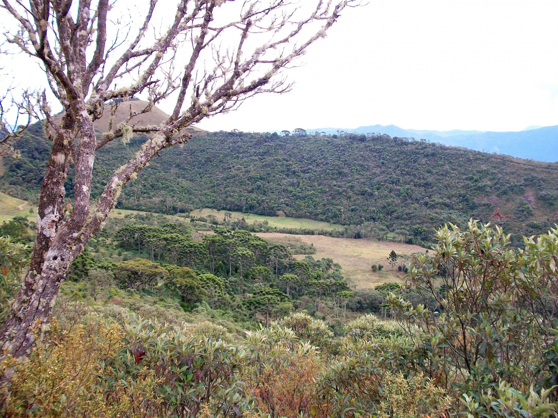 Serra do Mané Joaquim