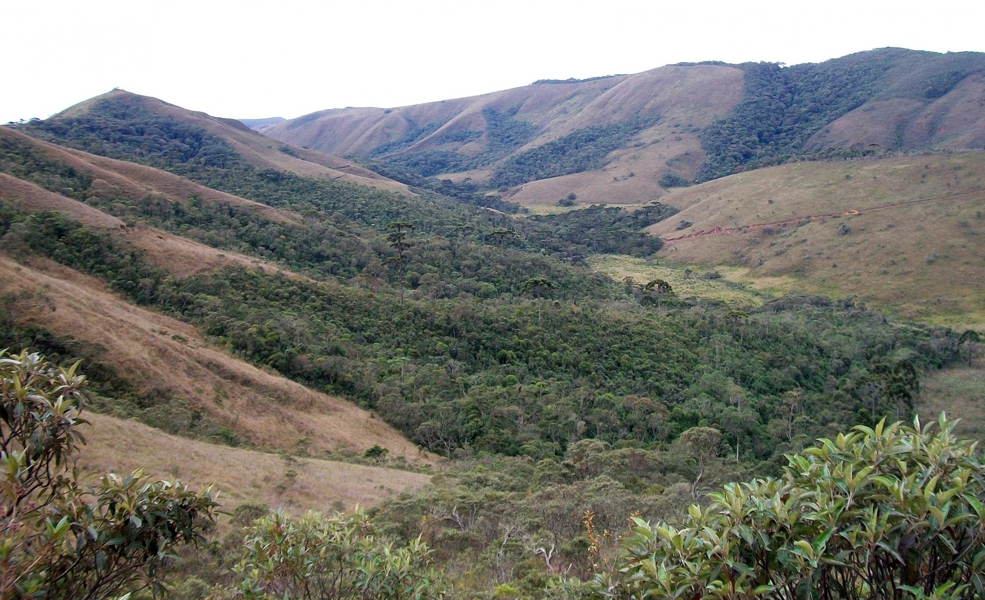 Serra do Mané Joaquim
