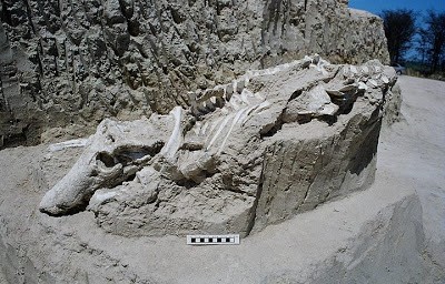 Geossítio Caieira