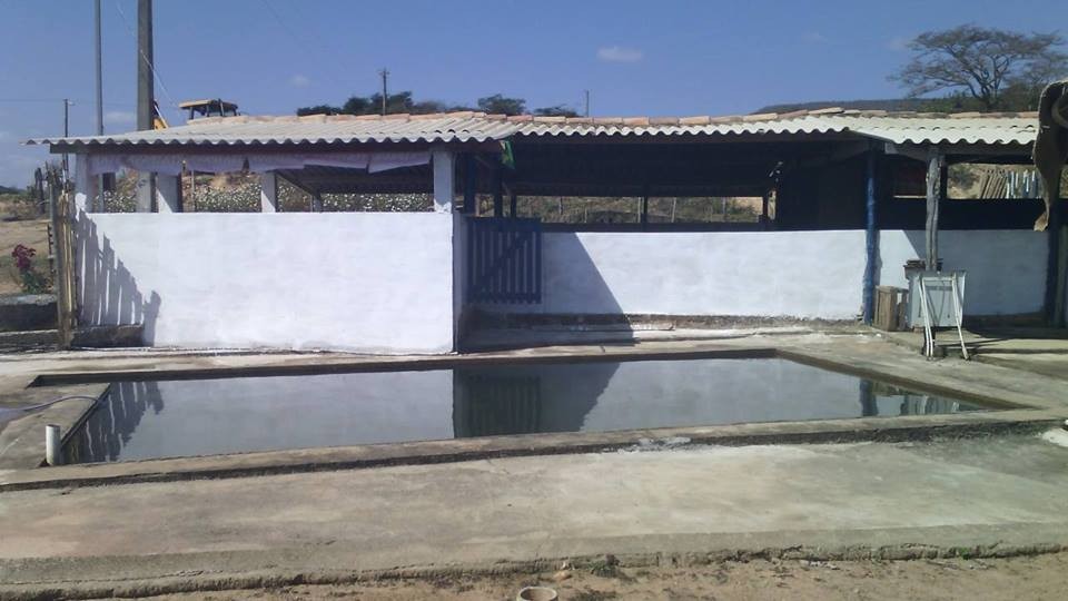 Bar do Ladinho 