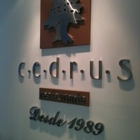 Cedrus 