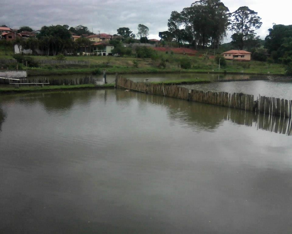 Pesqueiro Amigao