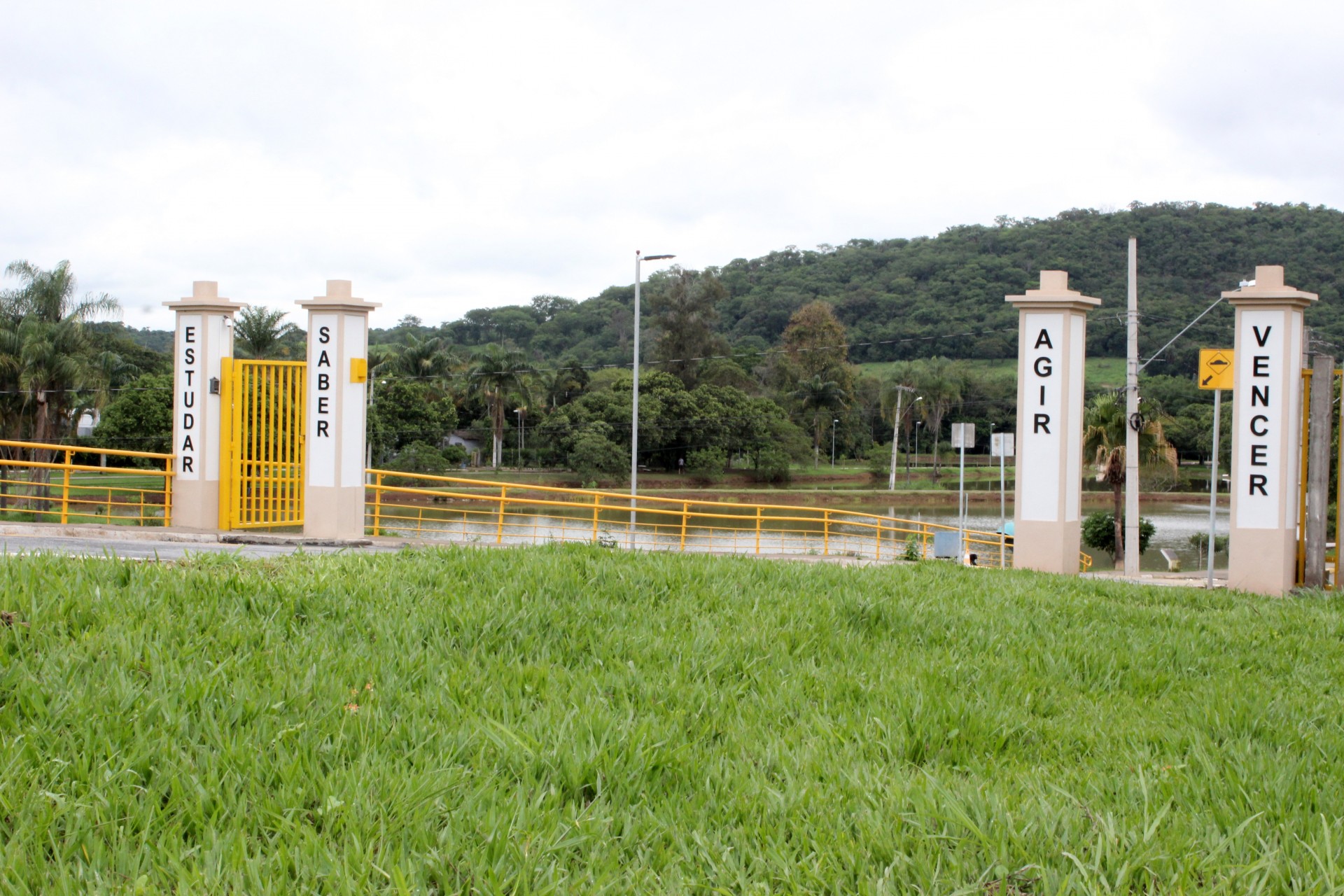 Maciços Florestais da UFV Campus Florestal
