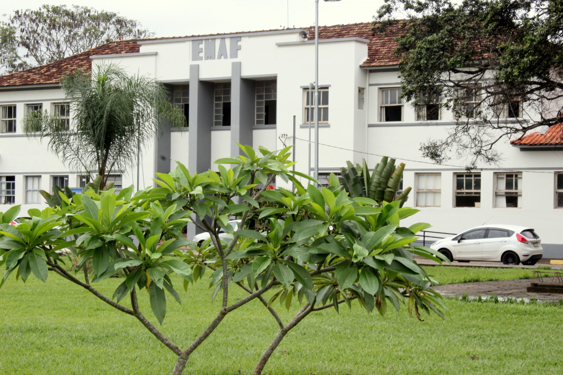 Maciços Florestais da UFV Campus Florestal