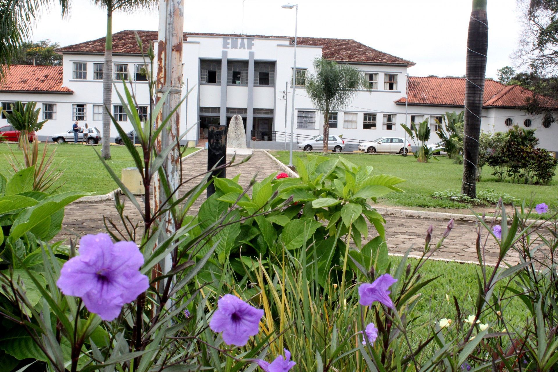Maciços Florestais da UFV Campus Florestal