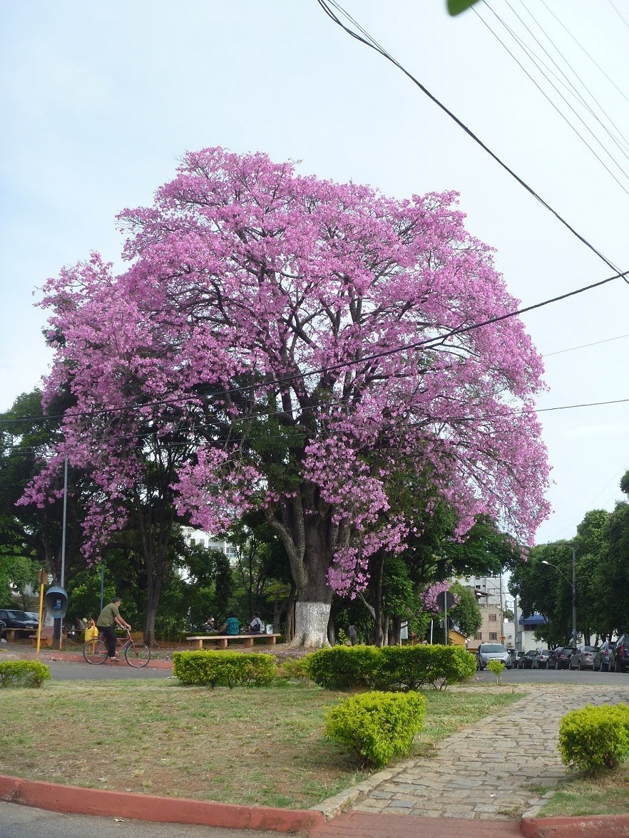 Praça Irmã Albuquerque
