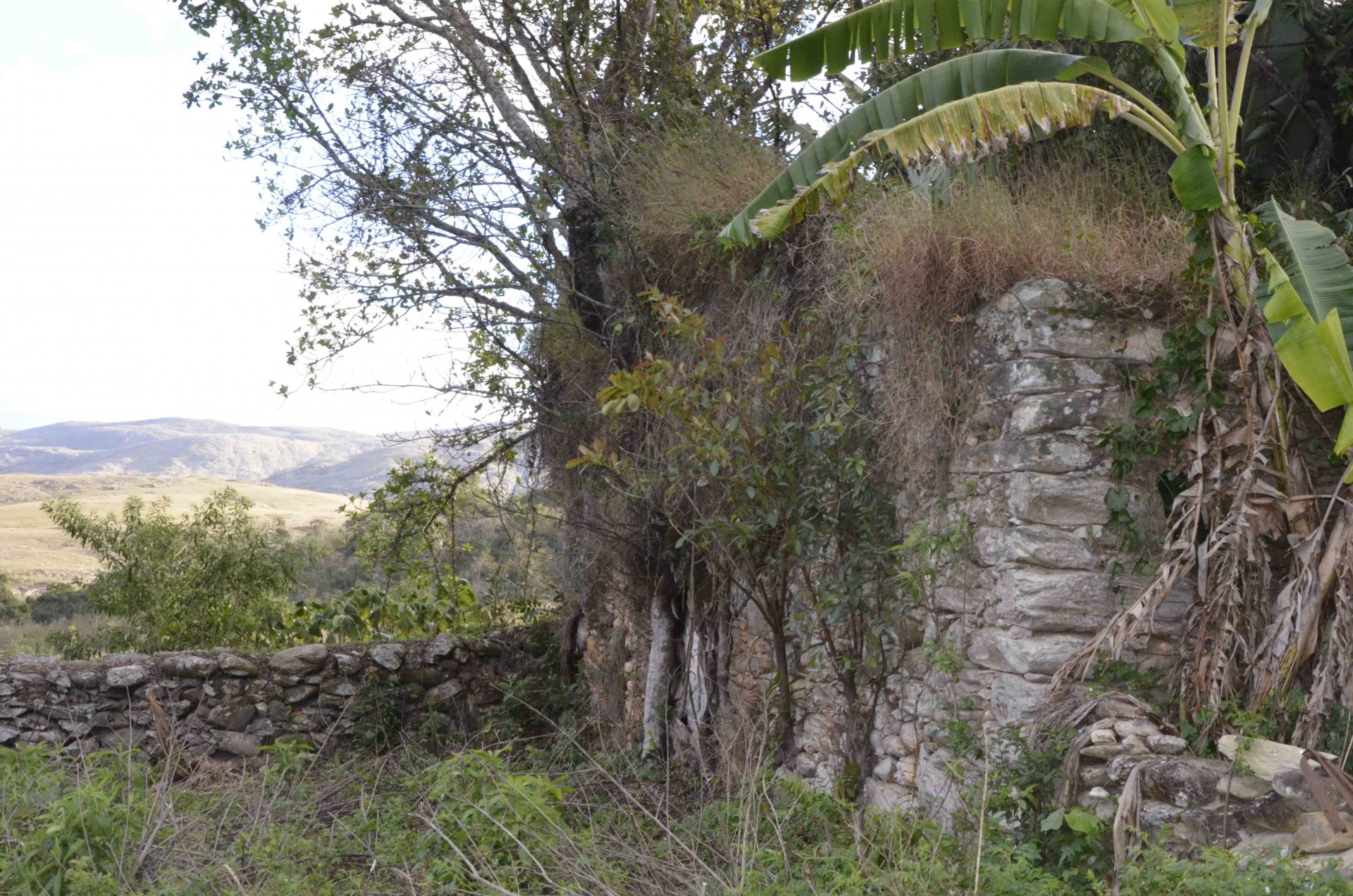 Carapinas