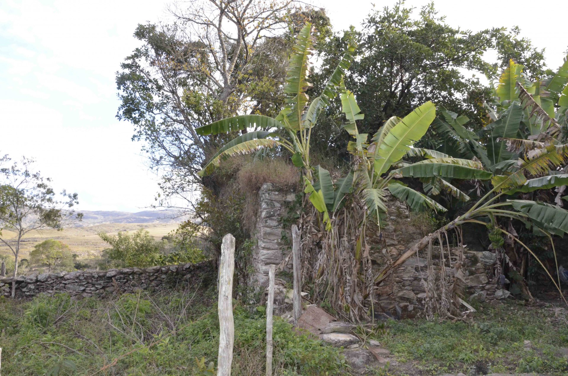Carapinas