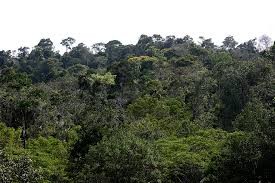 Parque Elci Rolla Guerra