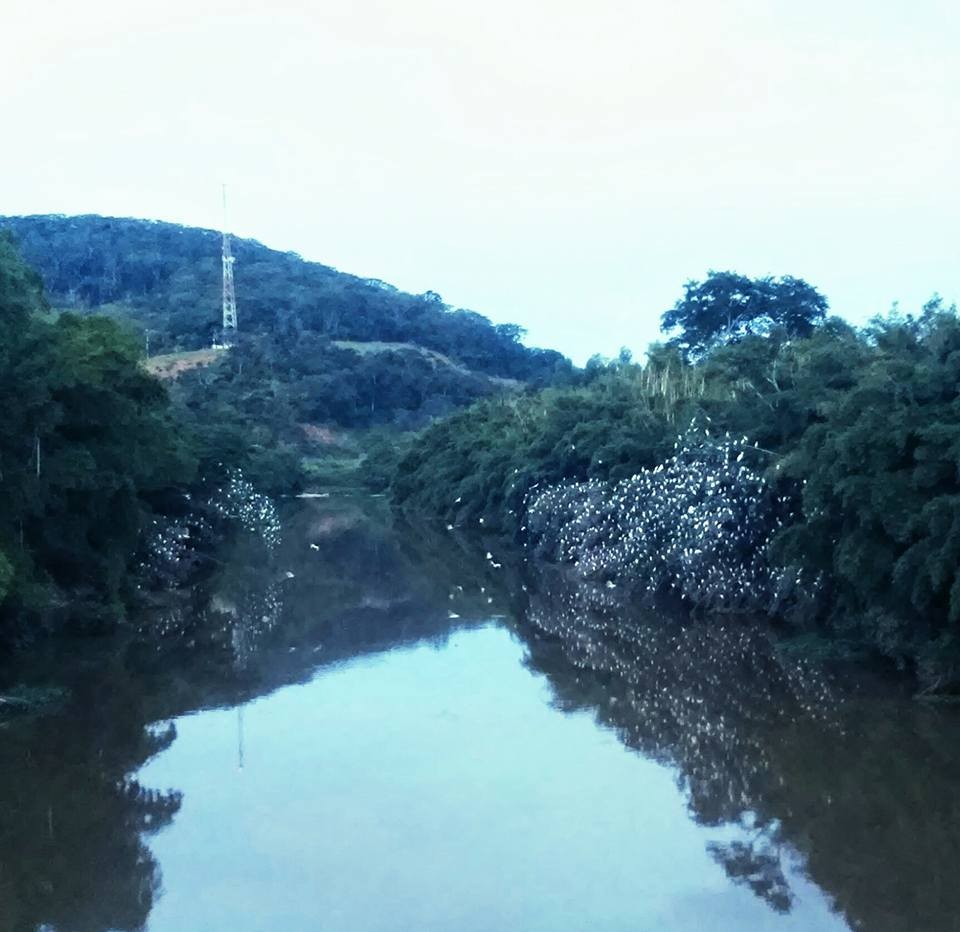 Apa - Ninho das Garças