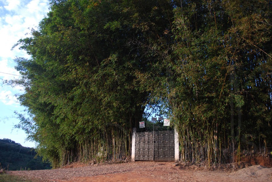 Cemitério do Bonfim