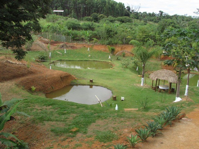 Pesque e Pague da Marcilene