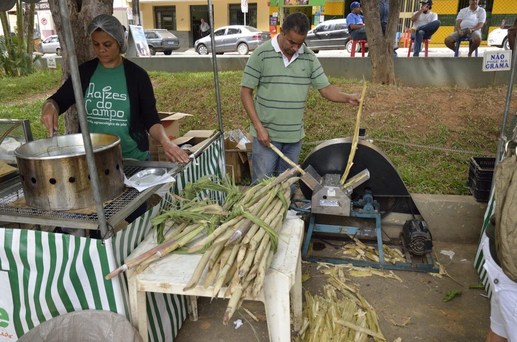 Feira Raízes do Campo