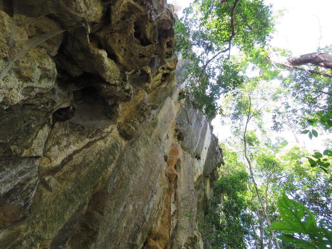 Parque Estadual dos Campos Altos