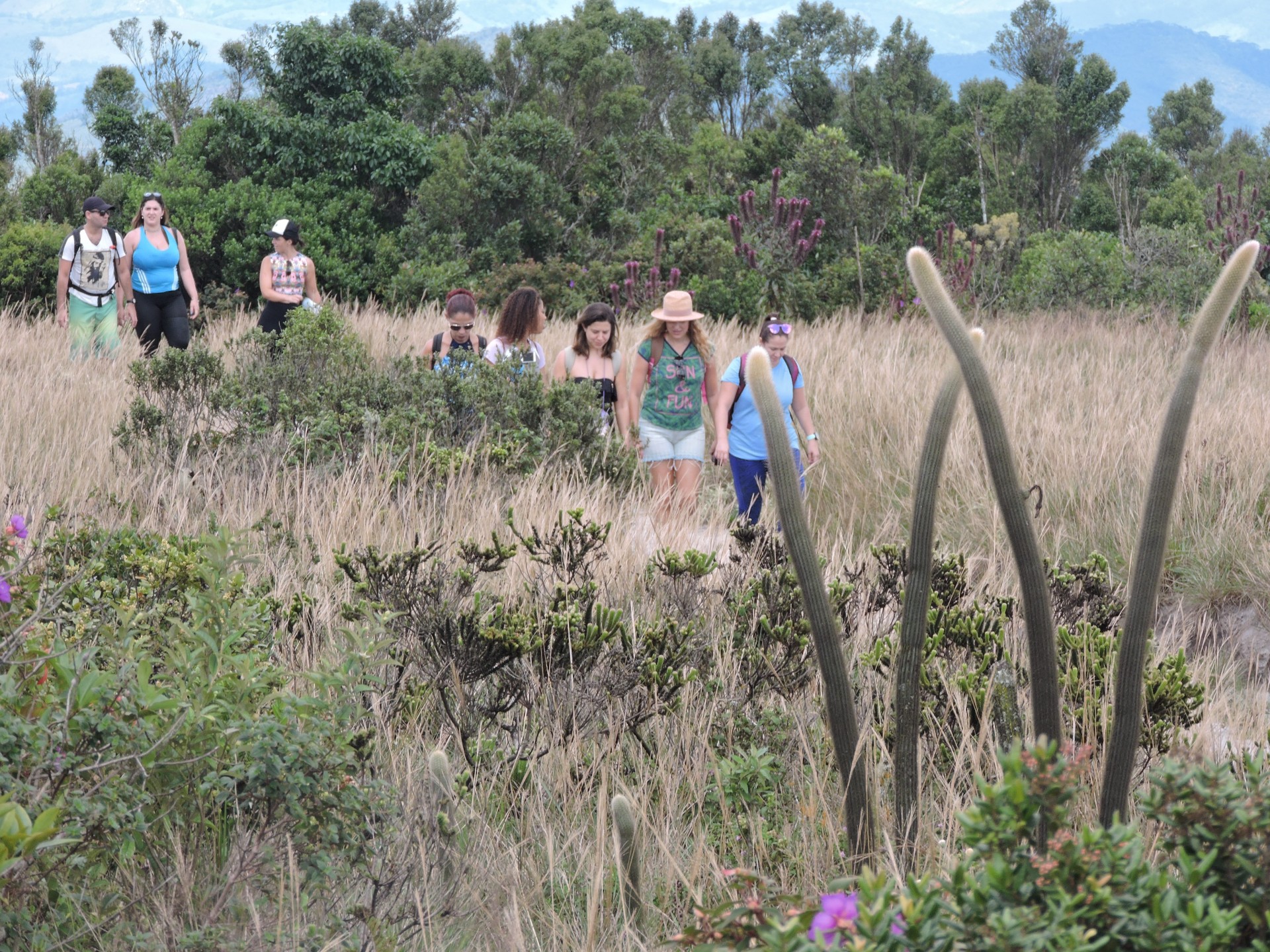 Alto Gerais Turismo