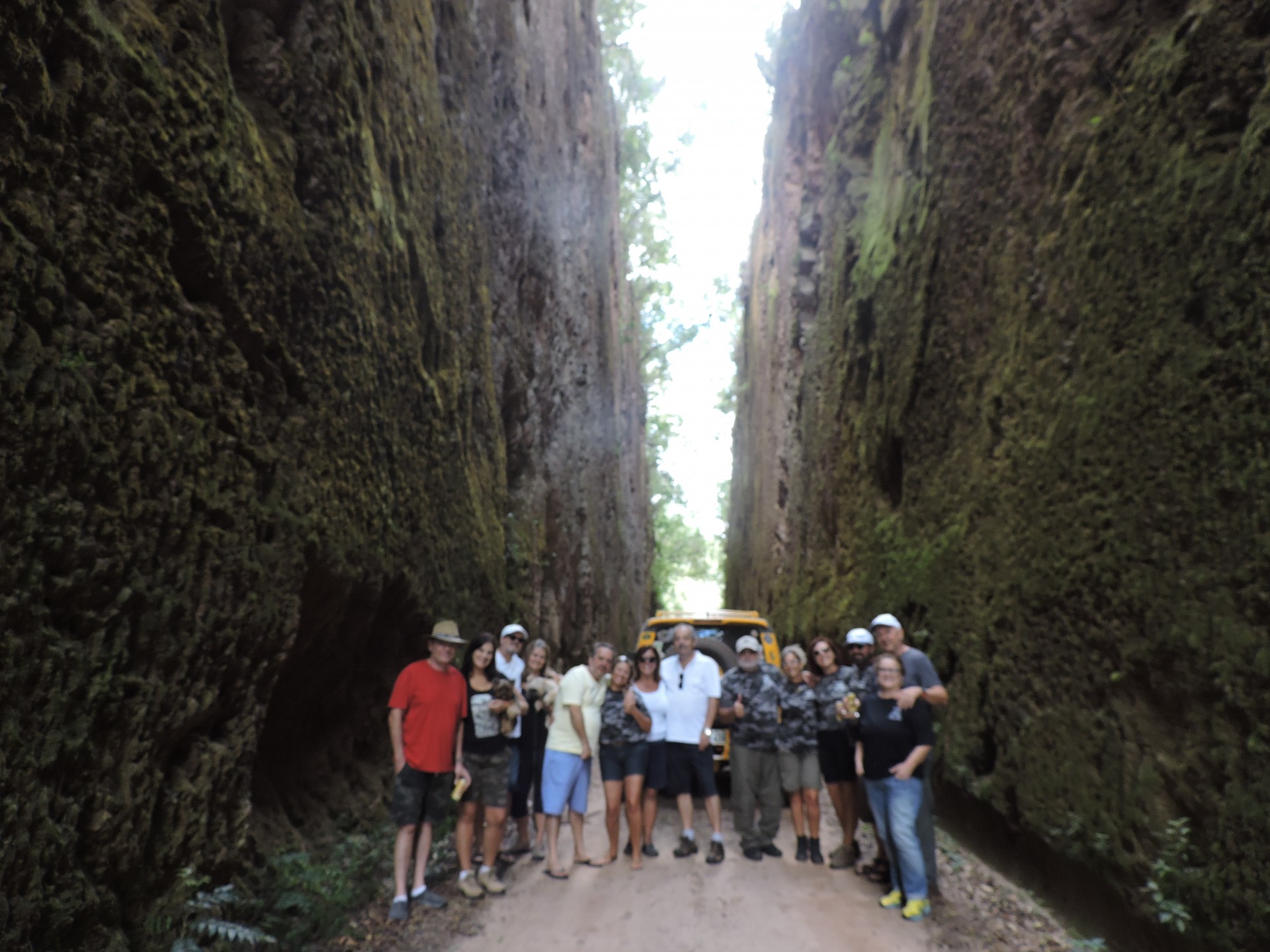 Alto Gerais Turismo