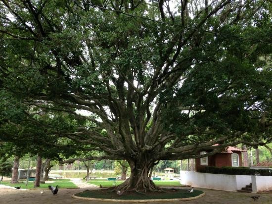 Parque das águas - Imagem 7