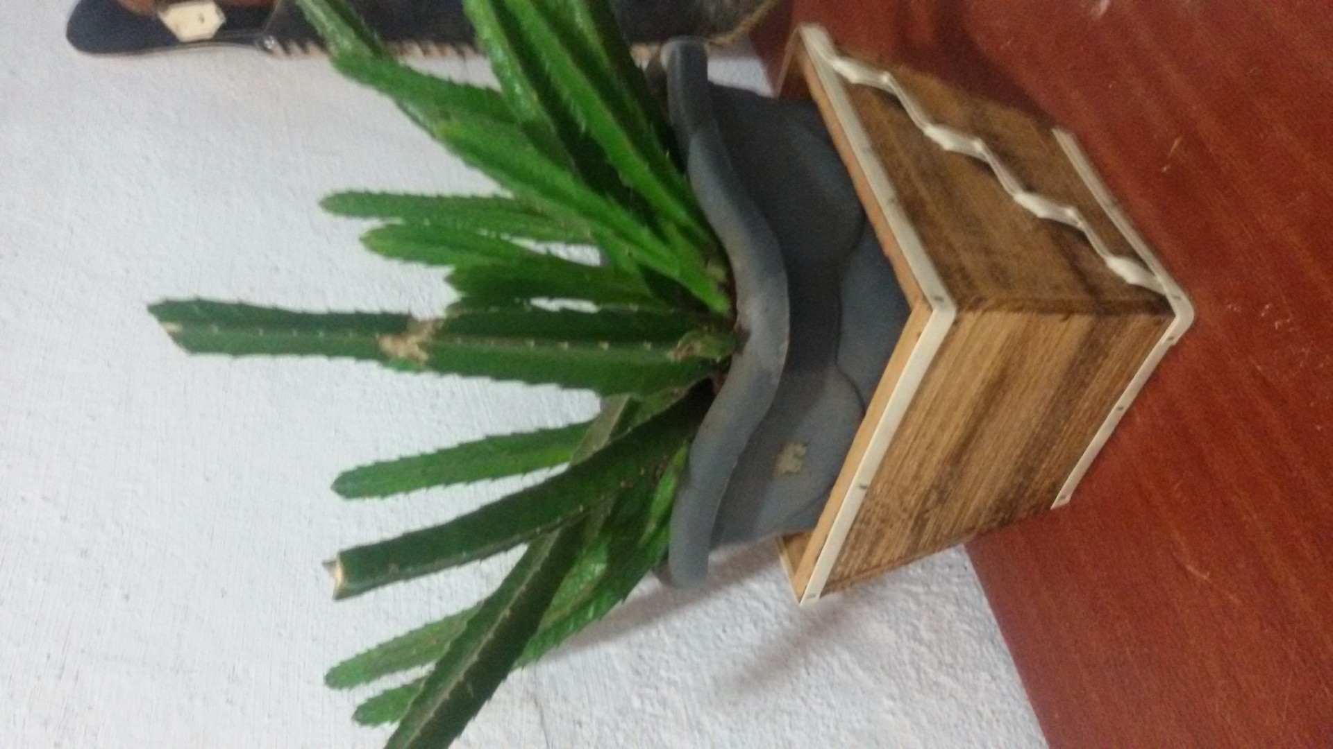 Ateliê do Tiu