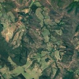 Mata da Pedreira 
