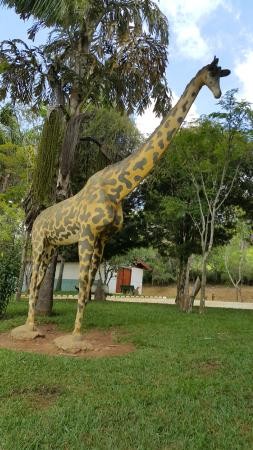 Parque Natural Municipal de Pouso Alegre