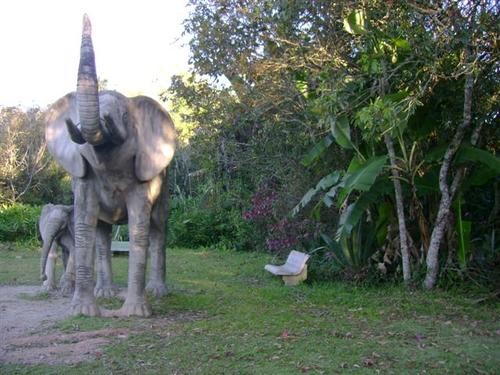 Parque Natural Municipal de Pouso Alegre