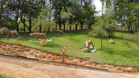 Parque Natural Municipal de Pouso Alegre