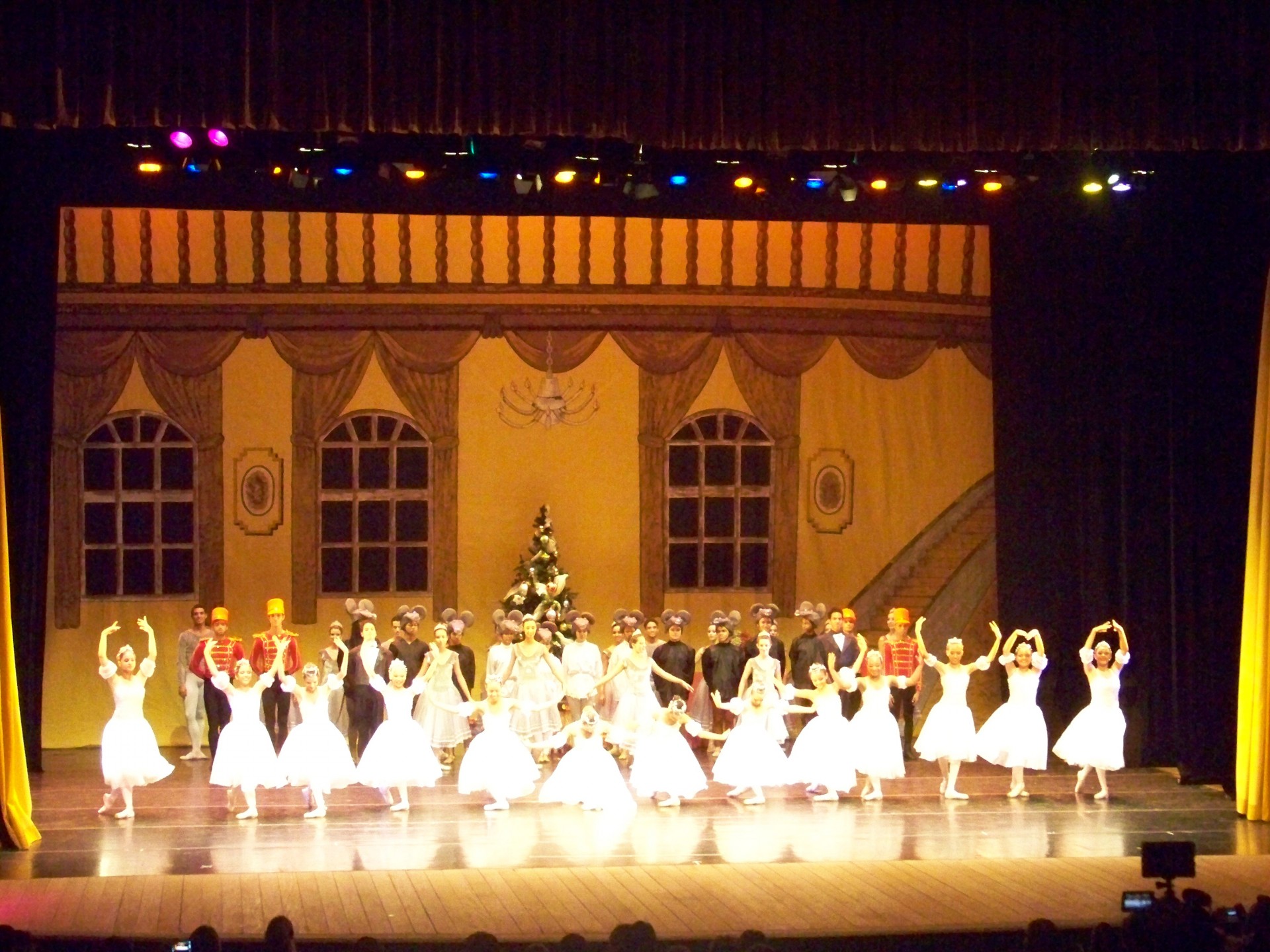 Cine Teatro Virginia 