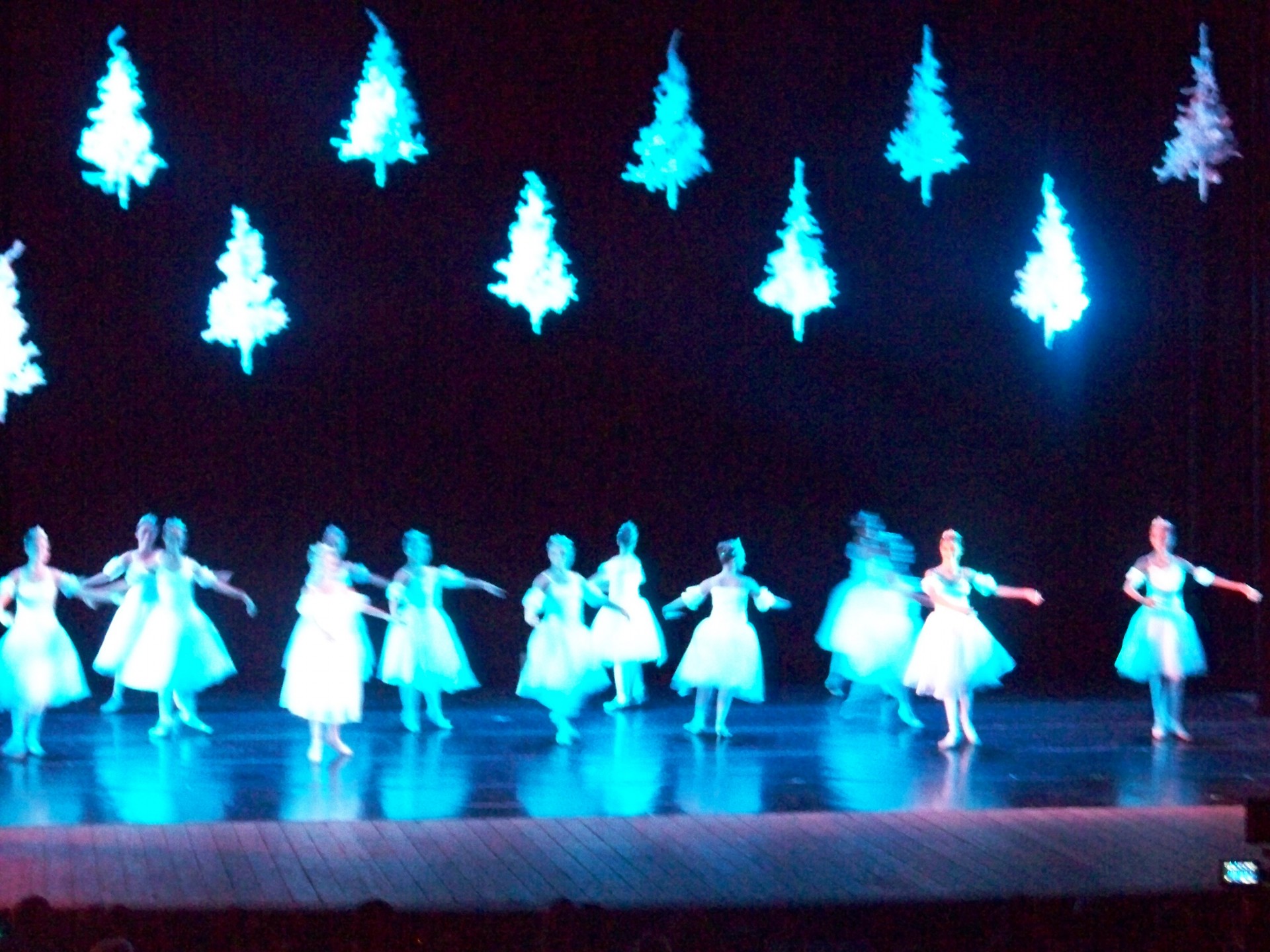 Cine Teatro Virginia 