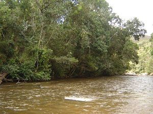Rio Itamarandiba