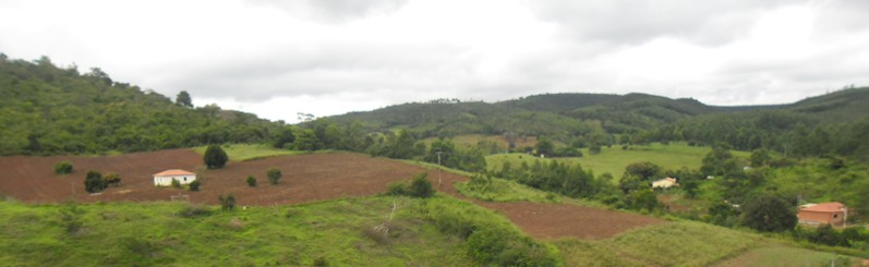 APA São Lourenço