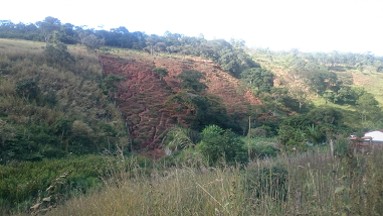 APA São Lourenço