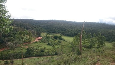 APA São Lourenço