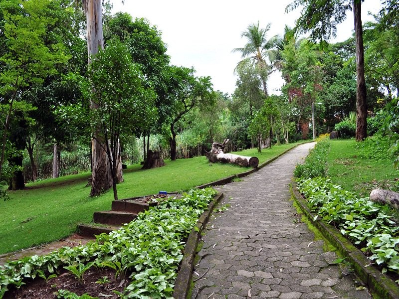Parque  Municipal Fazenda Lagoa do Nado