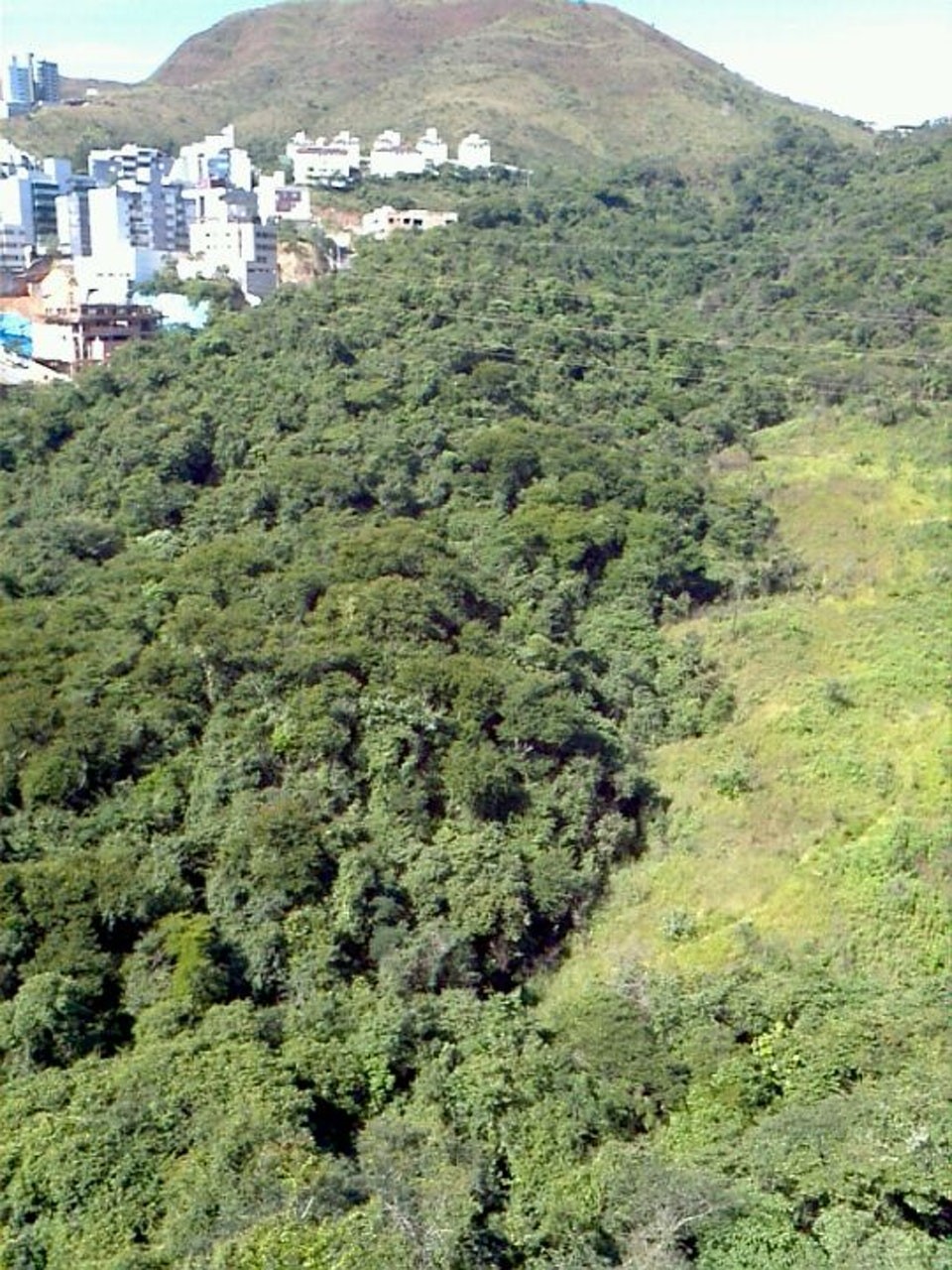 Parque Municipal Aggeo Pio Sobrinho