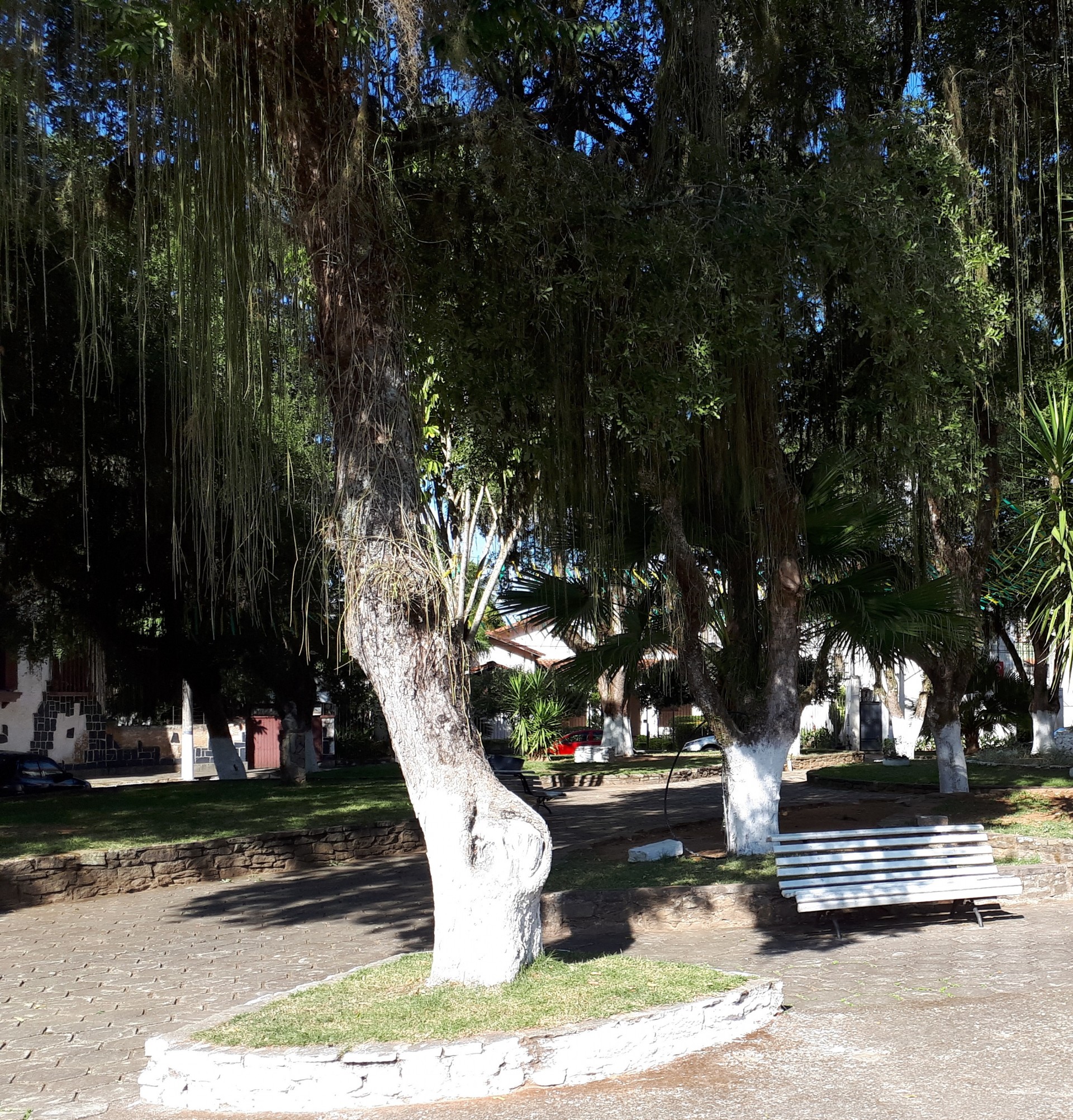 Praça José Vilela Pedras