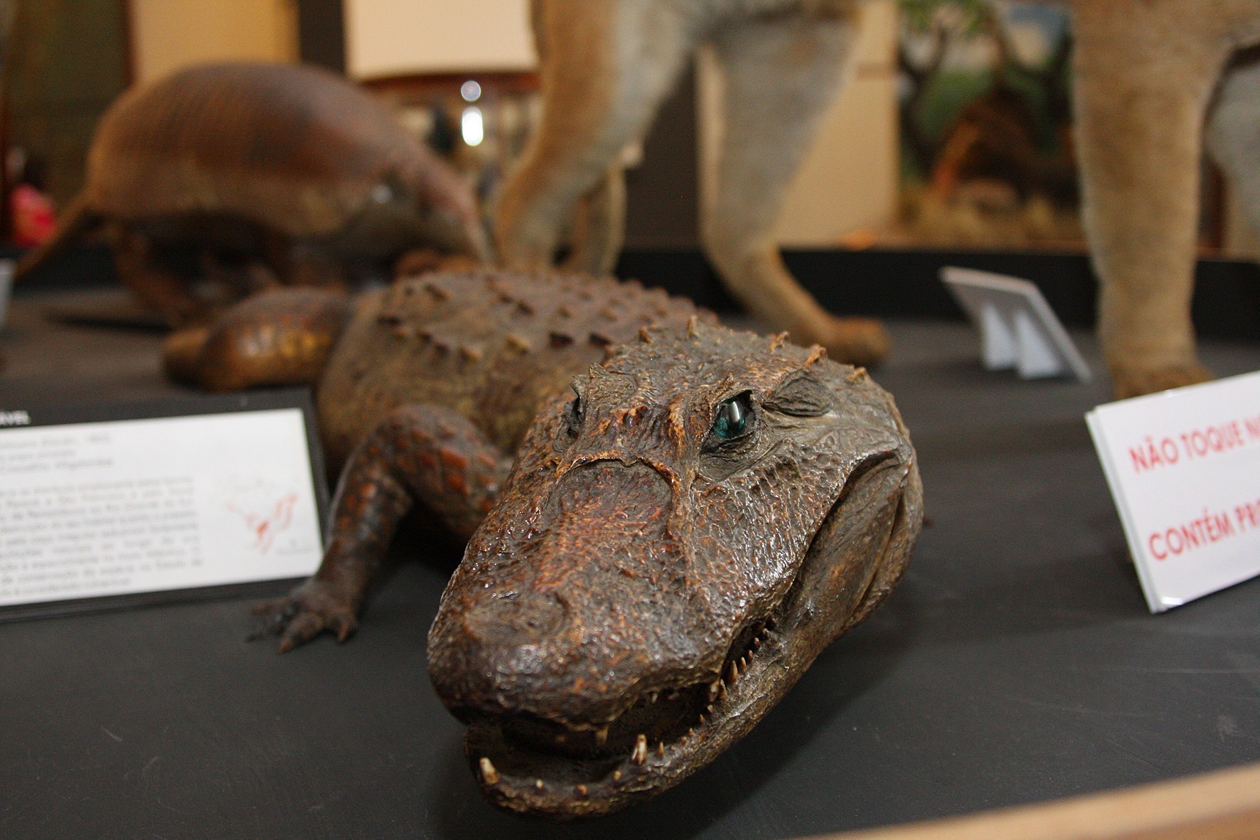 Museu da Zoologia