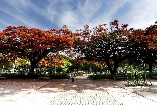 Praça Floriano Peixoto
