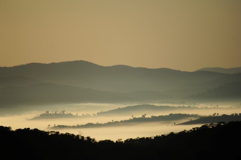 Parque Estadual Mata do Limoeiro