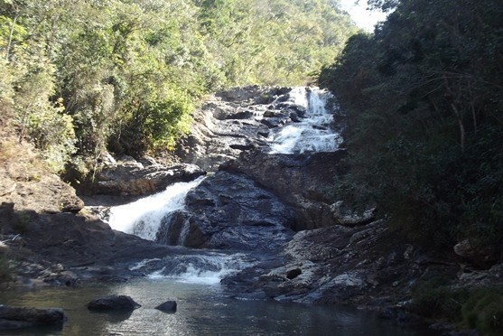 Parque Estadual Mata do Limoeiro