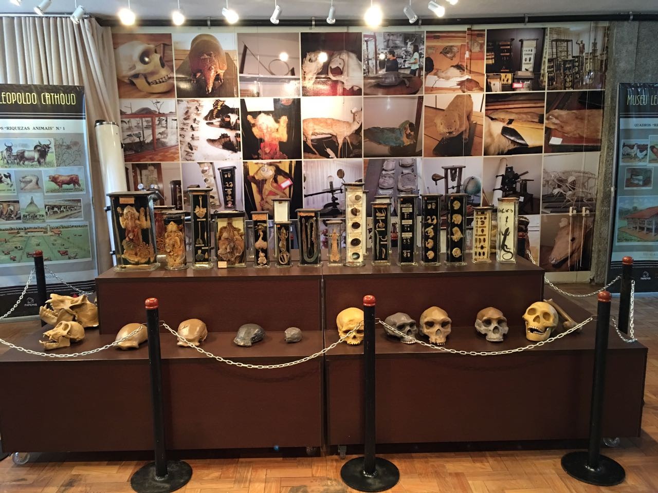 Museu de Ciências Naturais Leopoldo Cathoud