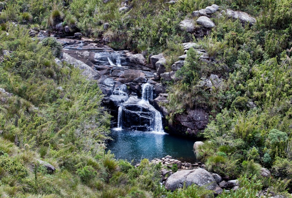Parque Nacional do Itatiaia - Imagem 4