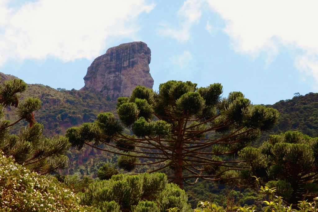 Parque Nacional do Itatiaia - Imagem 5