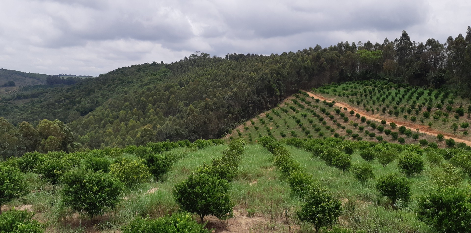 Comunidade Rural Noiva do Cordeiro