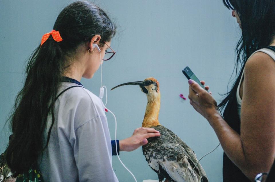 Zoo das Aves