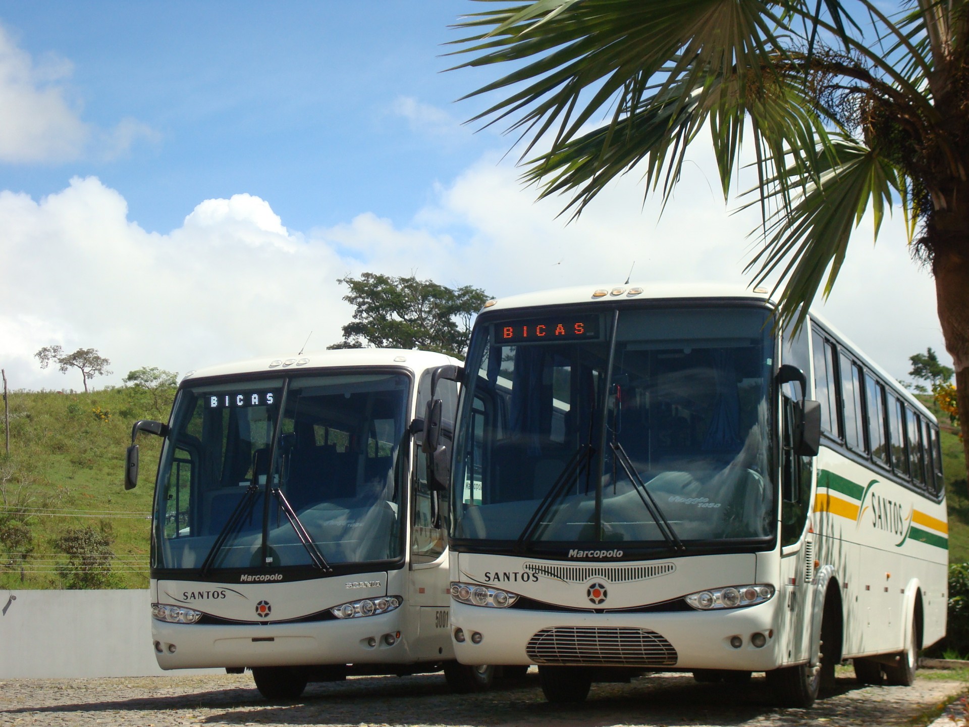 Viação Santos