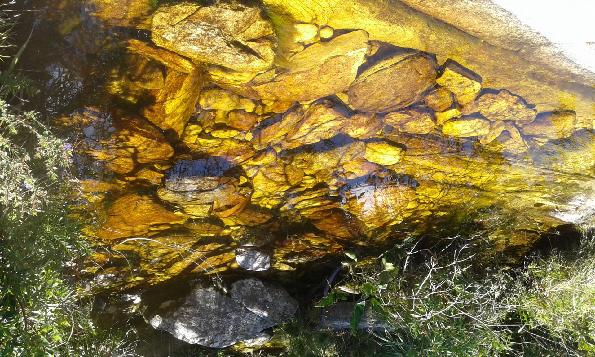 Trilhas do Cipó Ecoturismo
