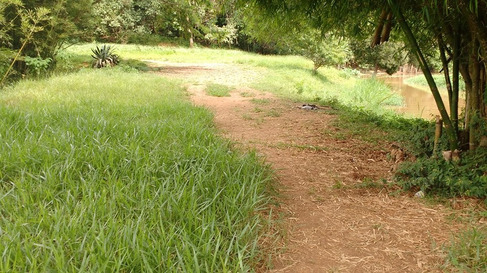 Cachoeira da Usina