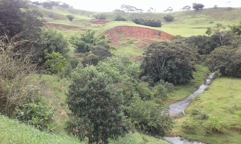Cachoeira da Usina